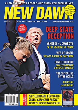 New Dawn 206