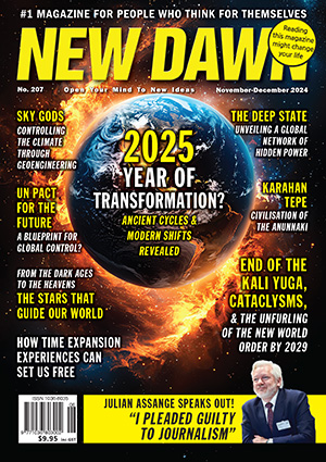 New Dawn 207