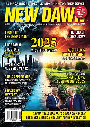 New Dawn 208