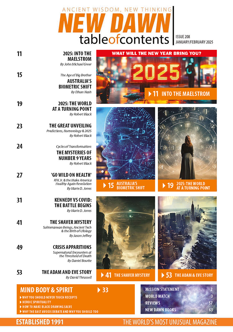 New Dawn 208 - Image 2