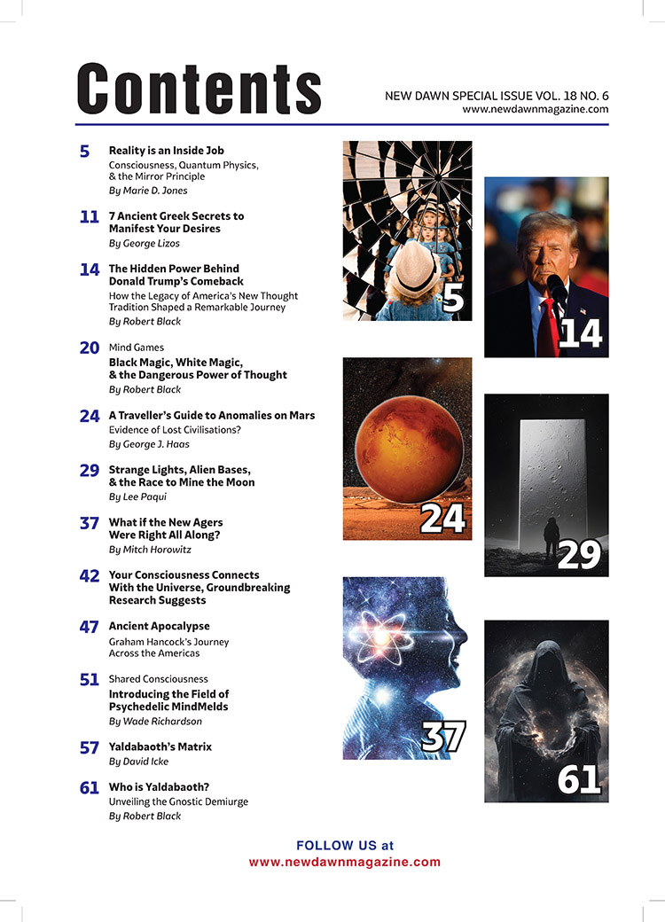 New Dawn Special Issue Vol.18 No.6 - Image 2