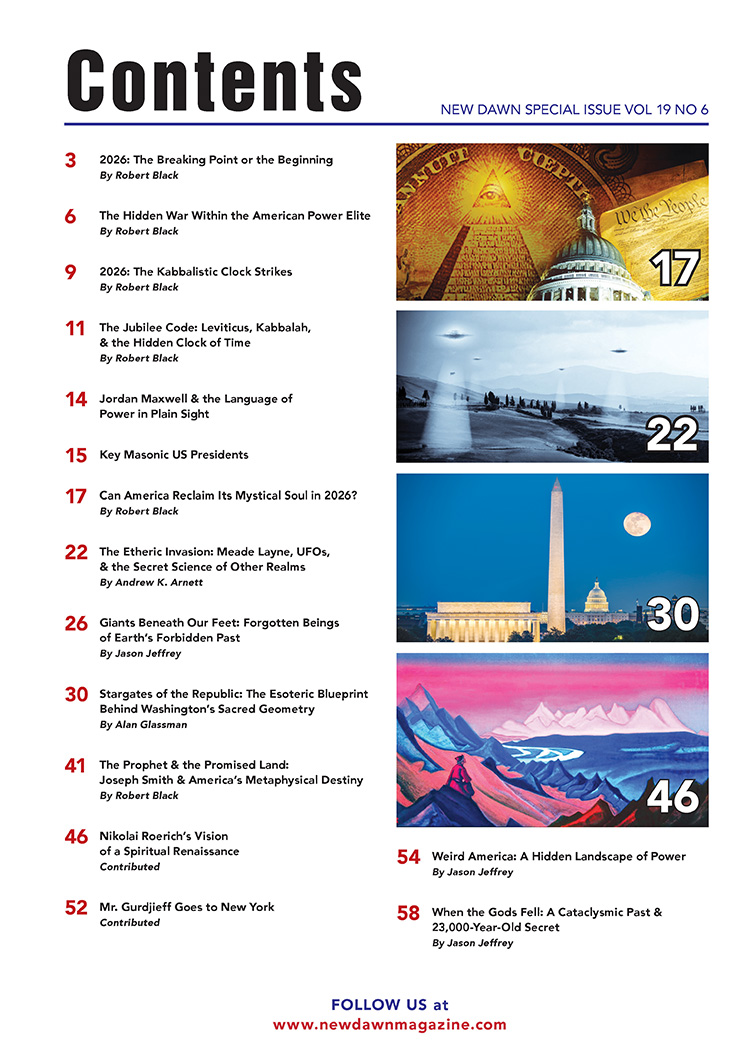 New Dawn Special Issue Vol.19 No.6 - Image 2