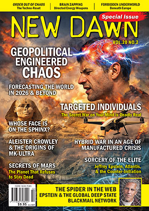 New Dawn Special Issue Vol.20 No.2