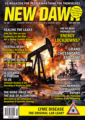 New Dawn 216