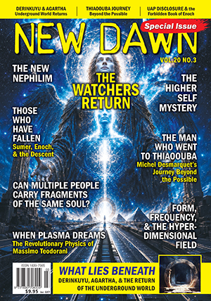 New Dawn Special Issue Vol.20 No.3