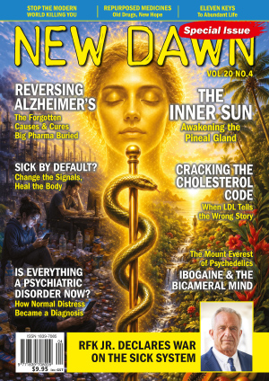 New Dawn Special Issue Vol.20 No.4