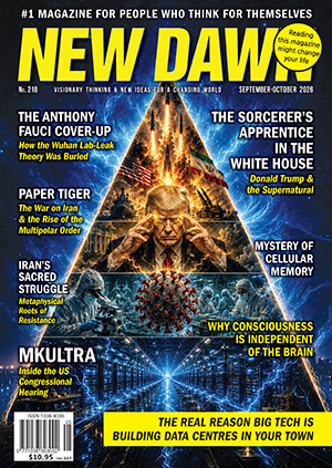 New Dawn 218